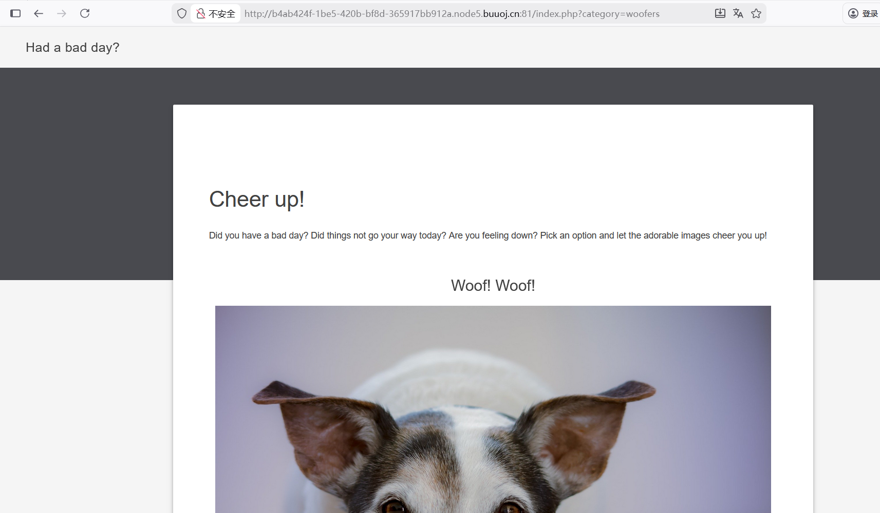 image-20260210234911980