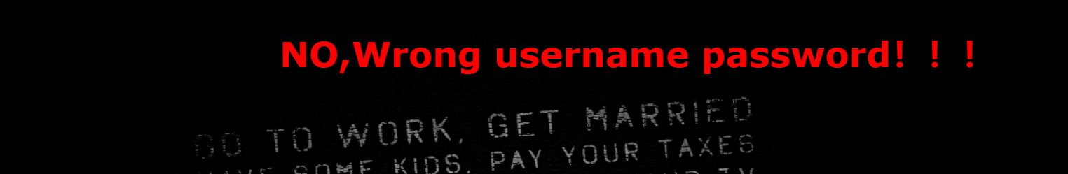 image-20260210234954933