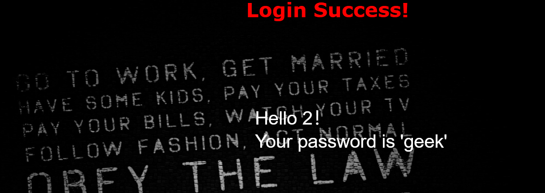 image-20260210235001627