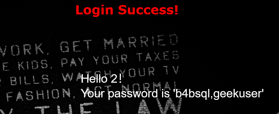 image-20260210235026112