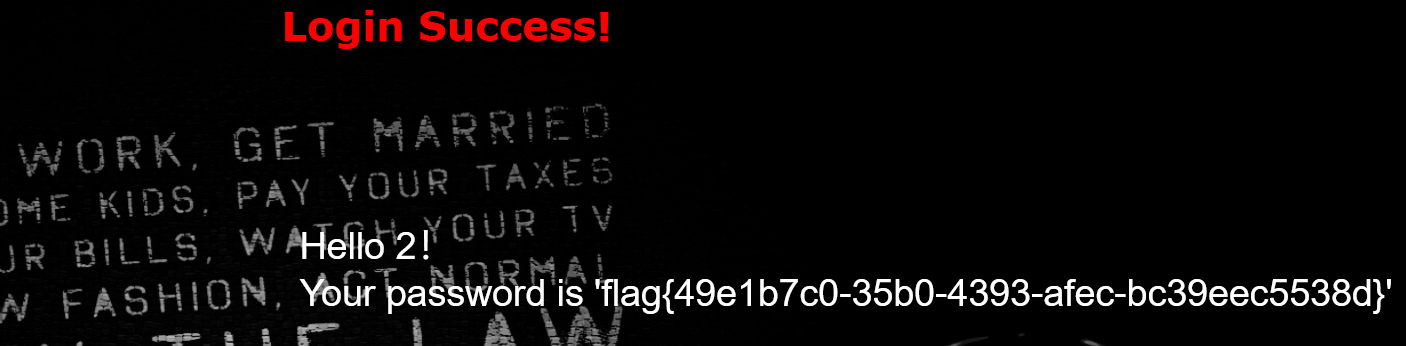 image-20260210235039103