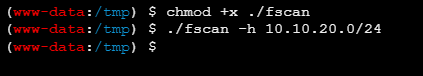 image-20261019204846511