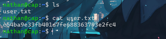 image-20260407194156464