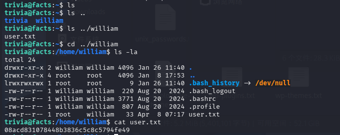 image-20260408194636842