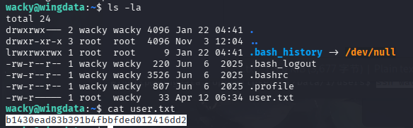 image-20260412190238019